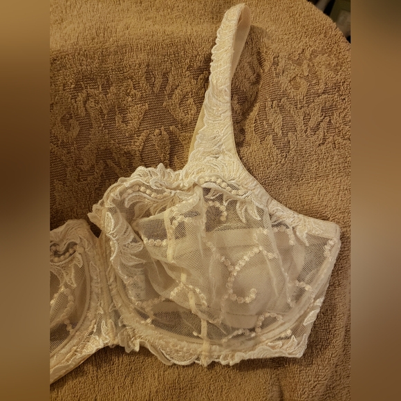Lace Underwire Bra - Picture 4 of 9